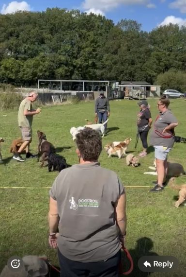 Coaching Daycare Staff @Dogstroll