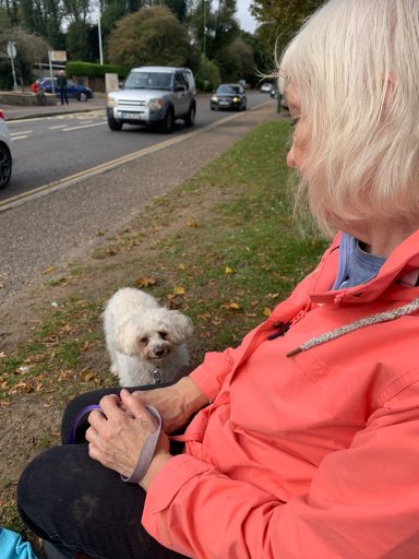 Check Ins on the street training