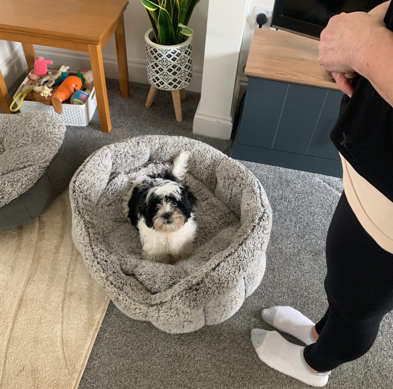 Coaching Bed/Boundary Game