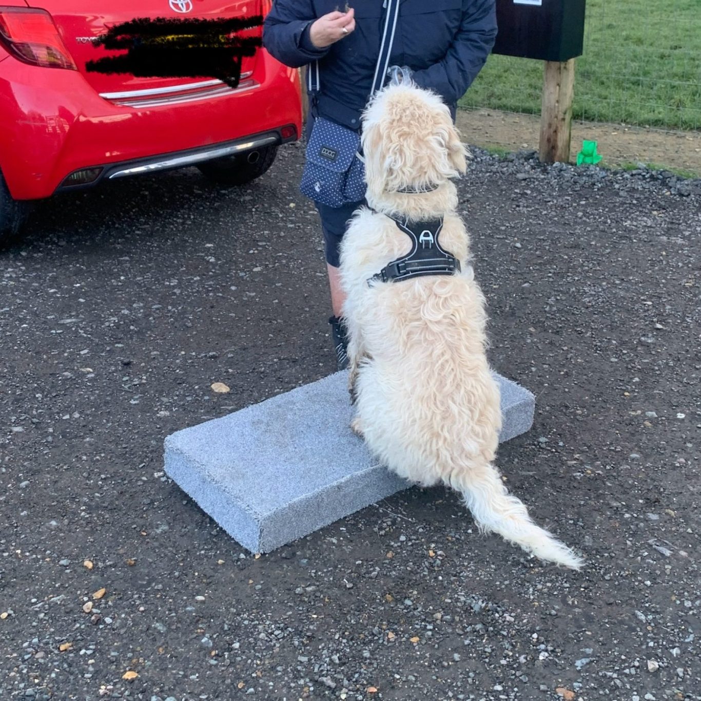 Platform Training to help focus and connection