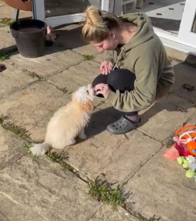 Coaching Name Game with a Puppy